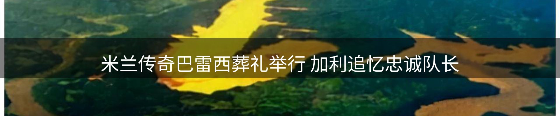 新闻资讯